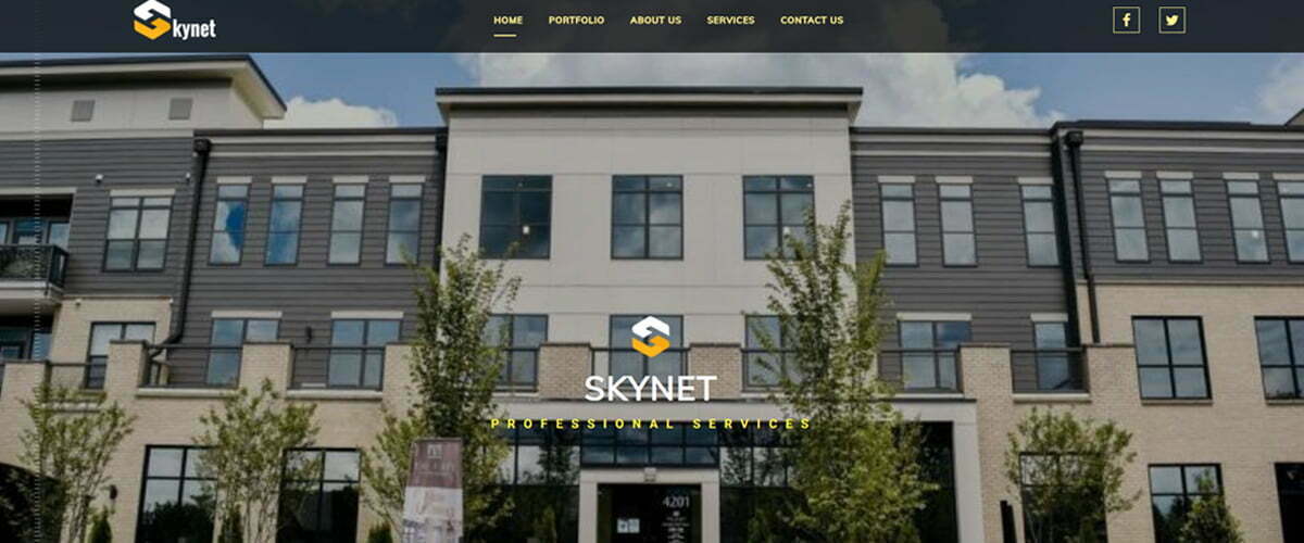 Skynet Professional Services