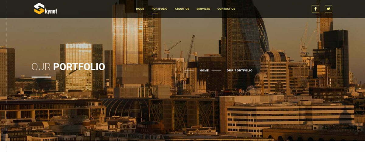 Skynet Professional Services