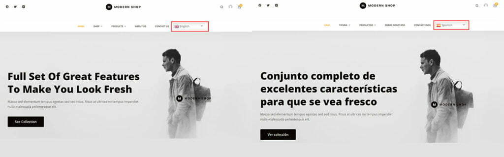 Introduction to WordPress Multilingual website WordPress Multilingual