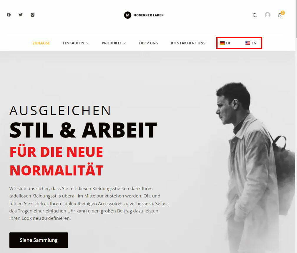 Introduction to WordPress Multilingual website WordPress Multilingual